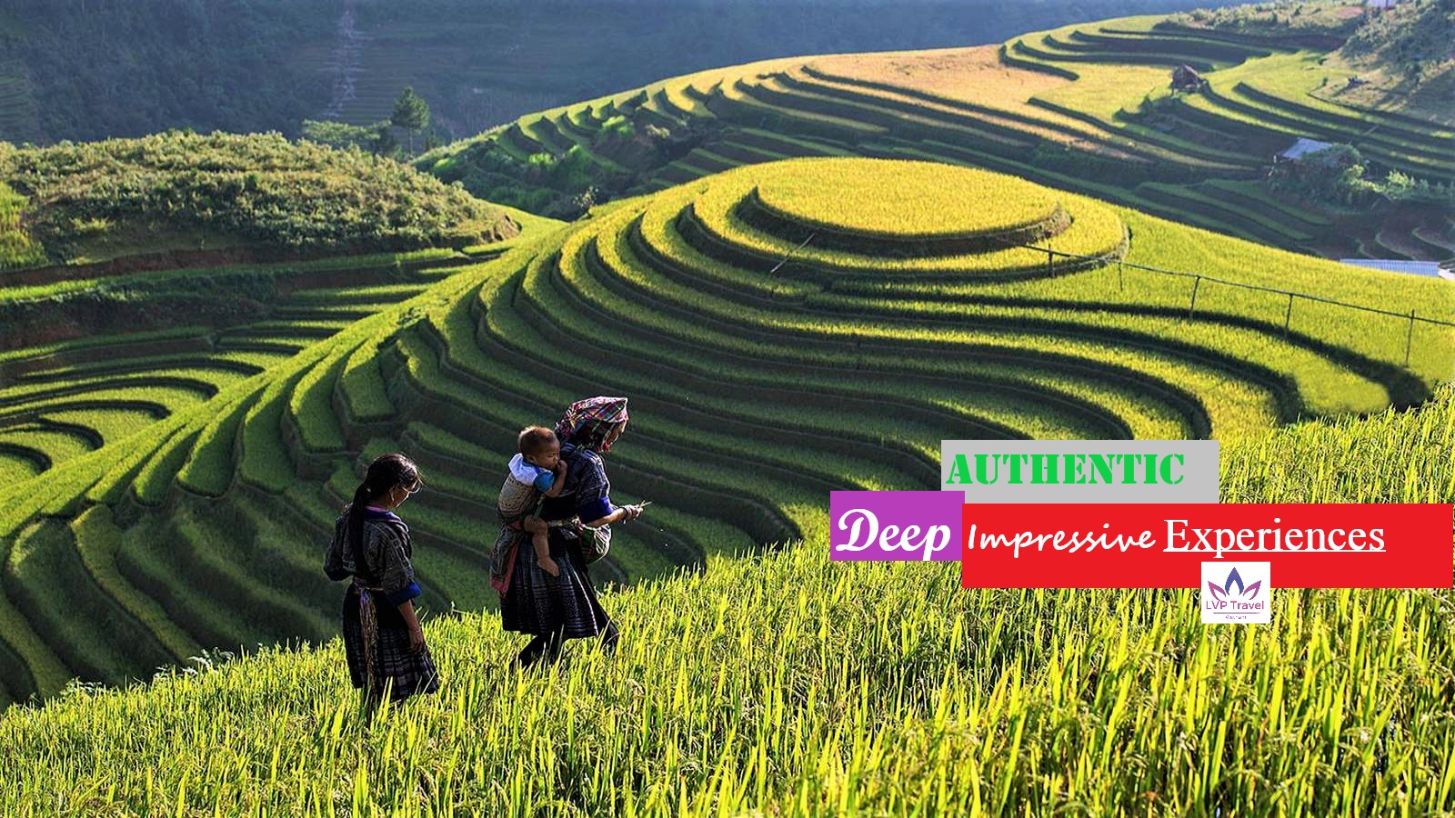 Discovery Northern of  Vietnam in 7 DAYS
