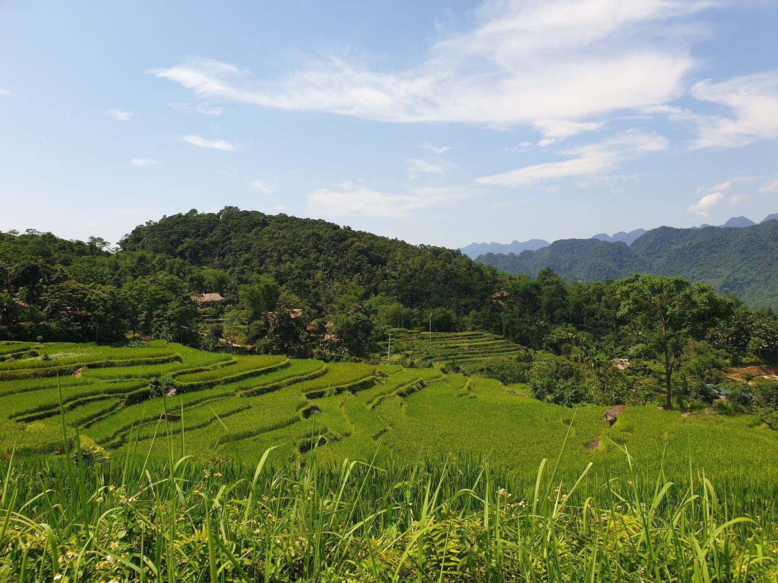 Honeymoon Vietnam 10 Days Tours 8