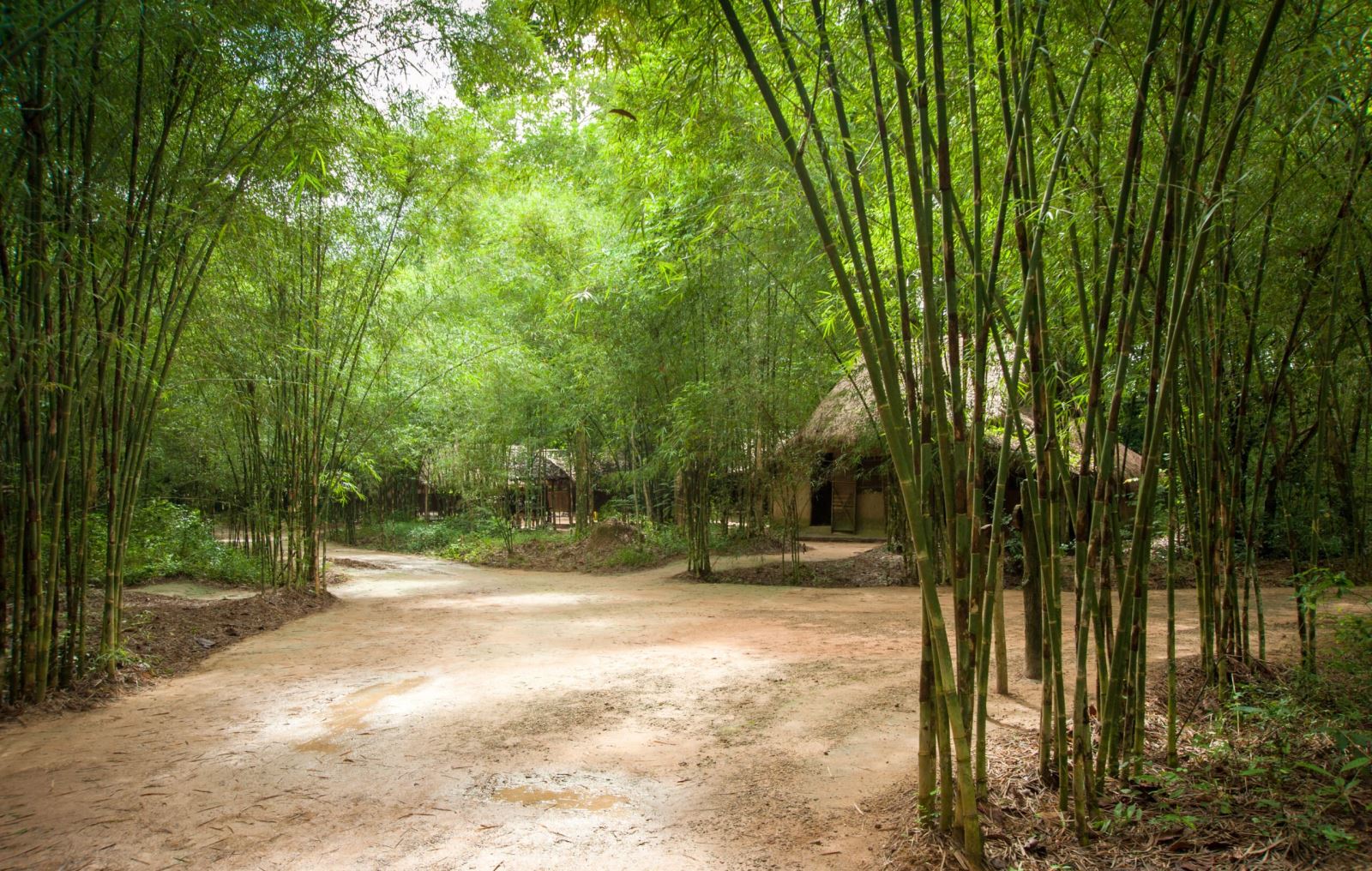 Cu Chi tunnel full day trip