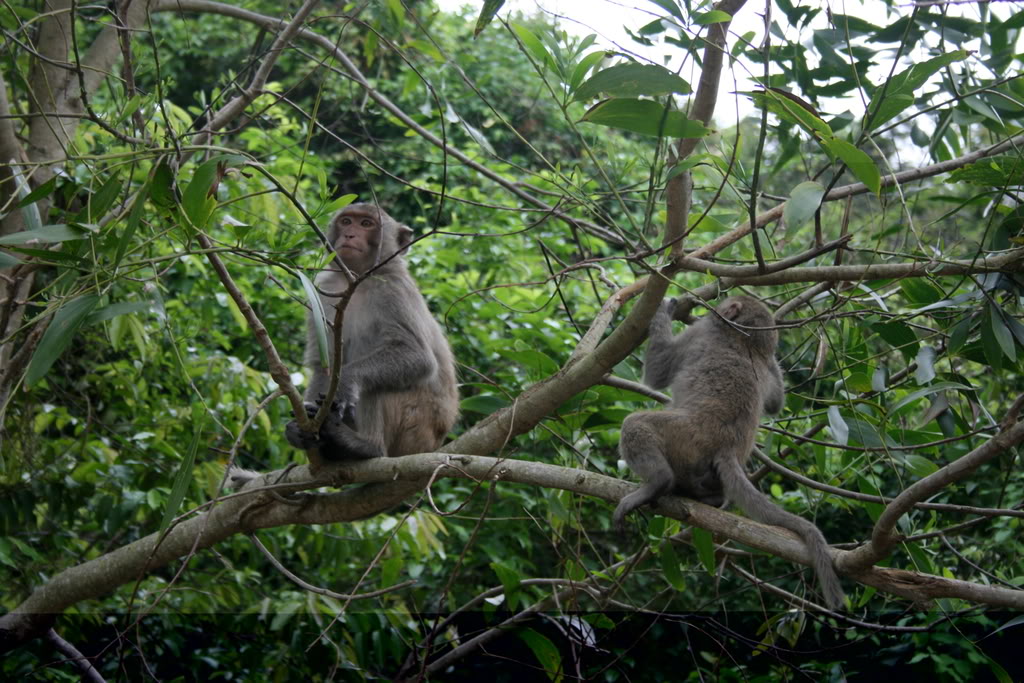 Cuc Phuong National Park -Full Day Trip from Hanoi 4
