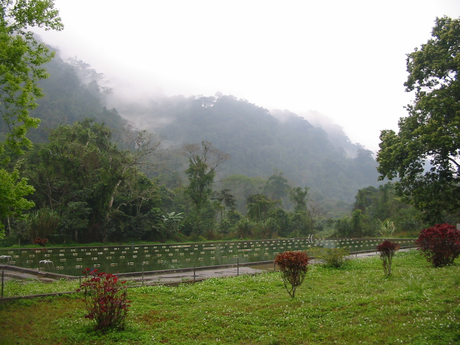 Cuc Phuong National Park -Full Day Trip from Hanoi 10