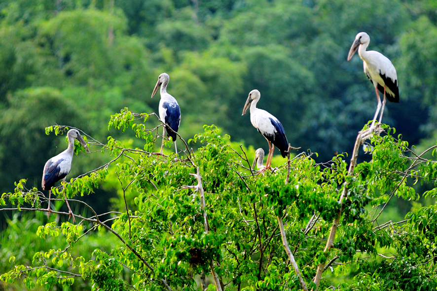 Cuc Phuong National Park -Full Day Trip from Hanoi 2