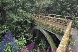 Cuc Phuong National Park -Full Day Trip from Hanoi 7