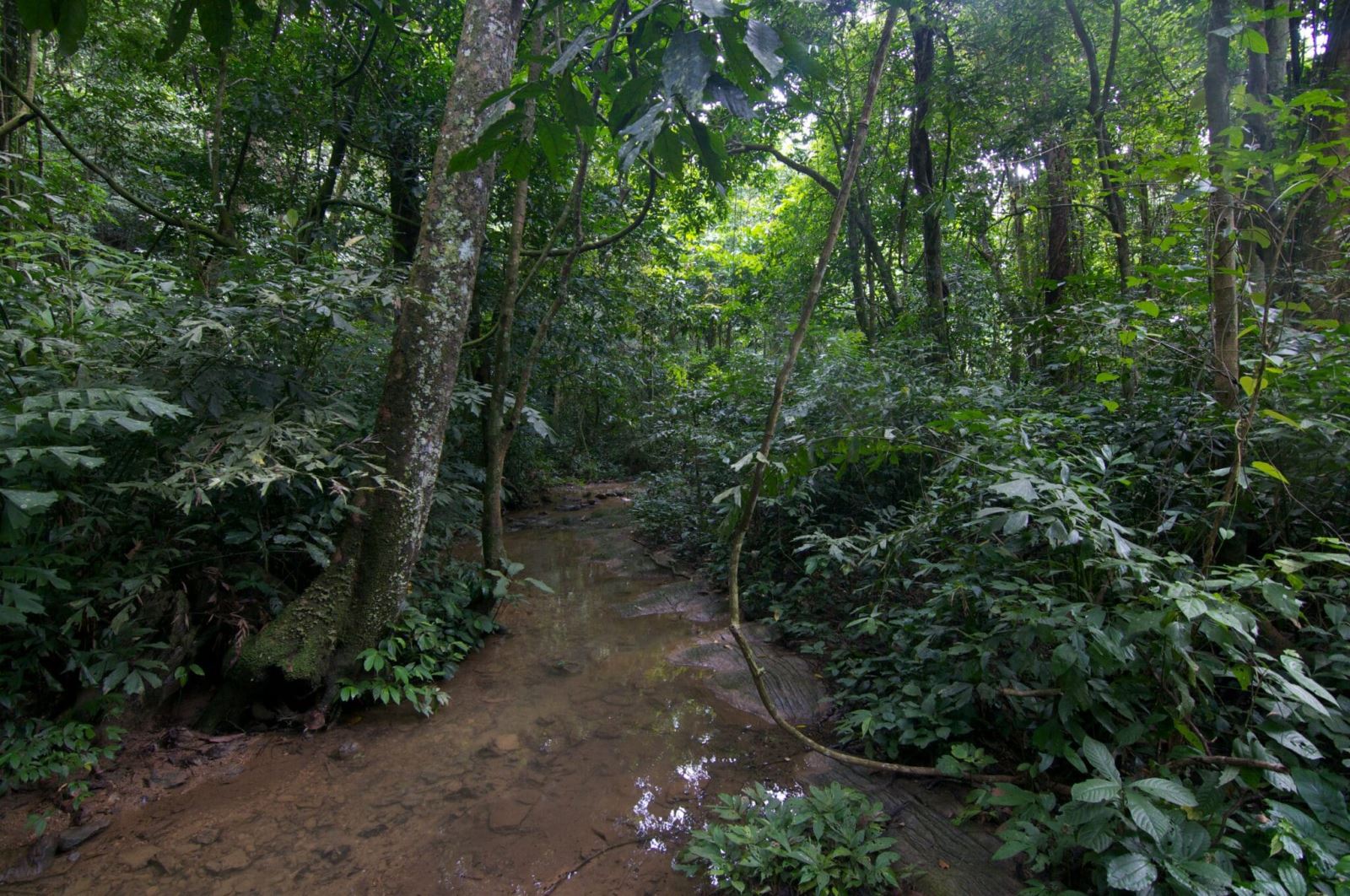Cuc Phuong National Park -Full Day Trip from Hanoi 11