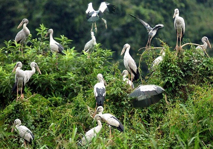 Cuc Phuong national Park