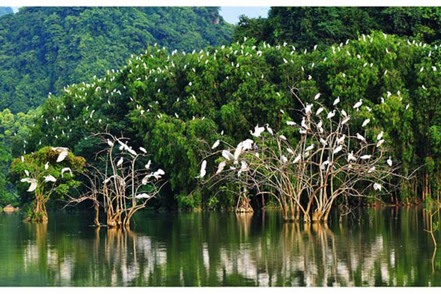 Cuc Phuong National Park -Full Day Trip from Hanoi 3