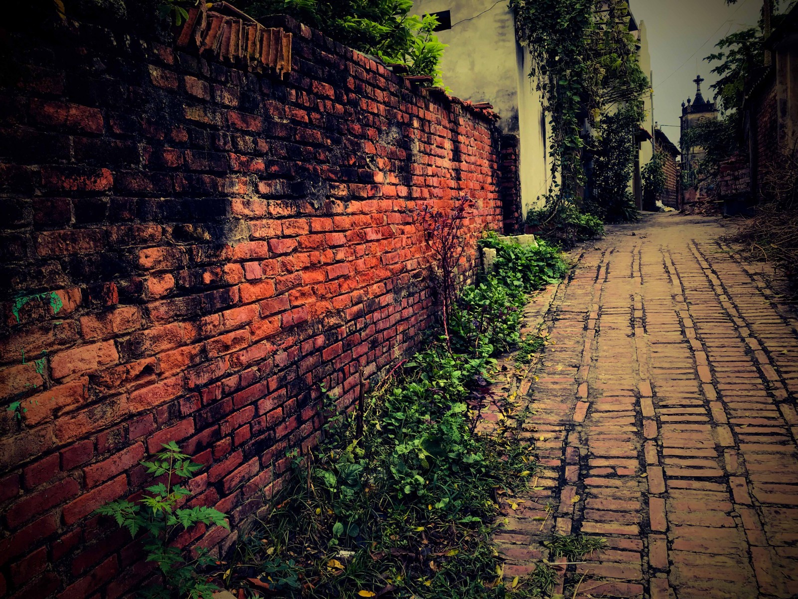 Duong Lam Ancient Village Day Tour