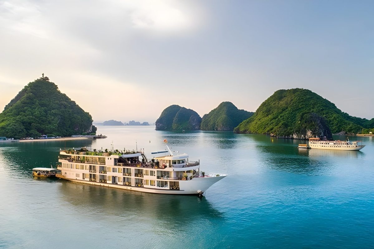 Halong Bay Verdure lotus grandeur Cruise 2 days 1 night ⭐⭐⭐⭐⭐ 8
