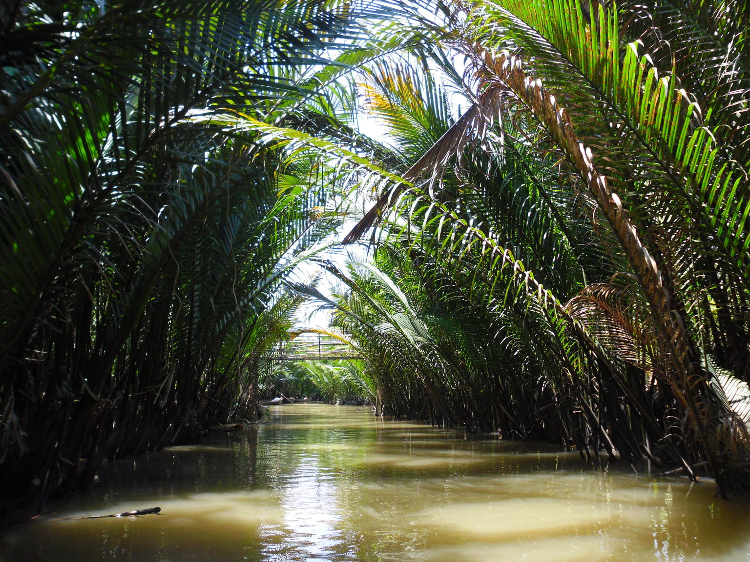 DISCOVER VIETNAM IN 7 DAYS