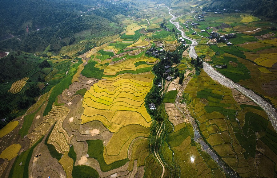 Sapa Trekking 