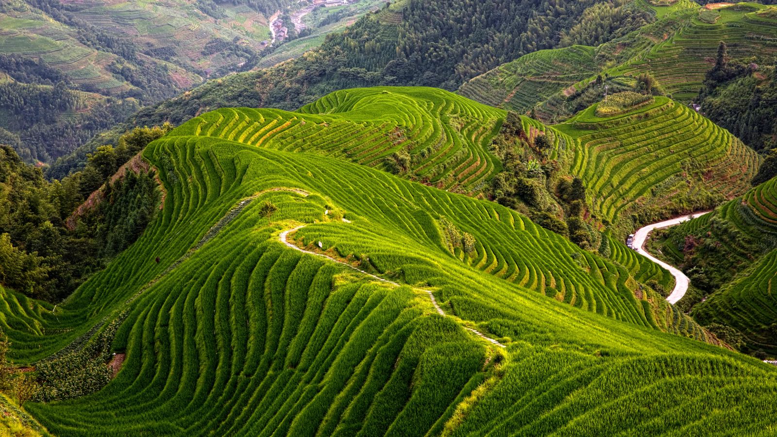Sapa Trekking 3 Days 2 Nights by luxury bus