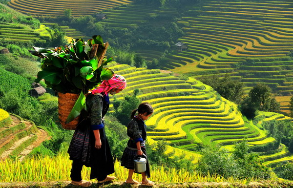 Sapa and Halong tours 6 days exclusive