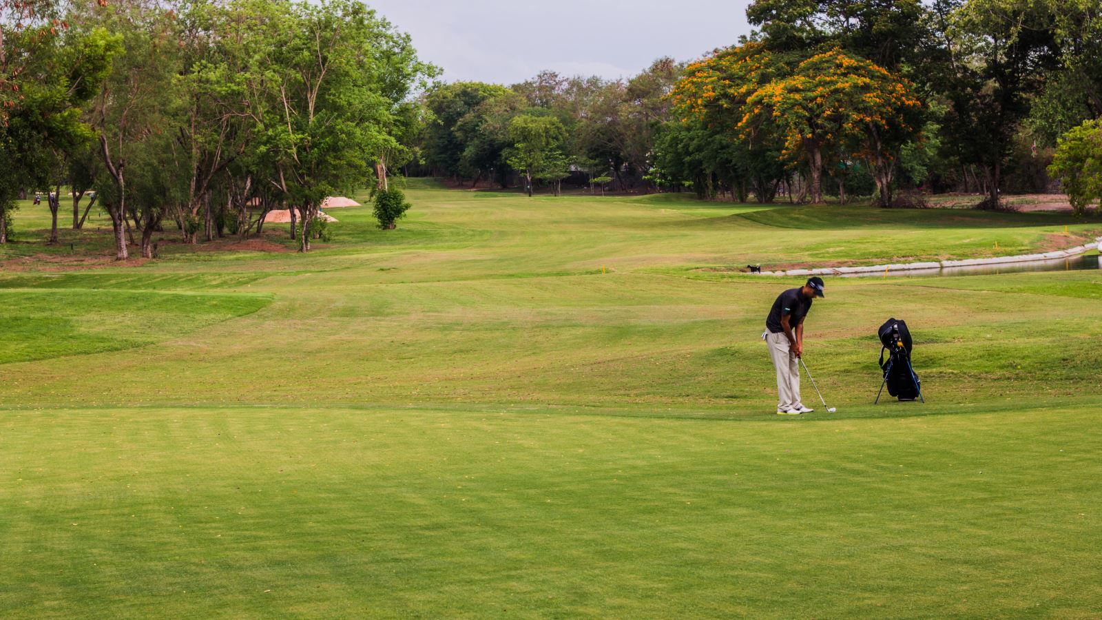 Vietnam Golf trip