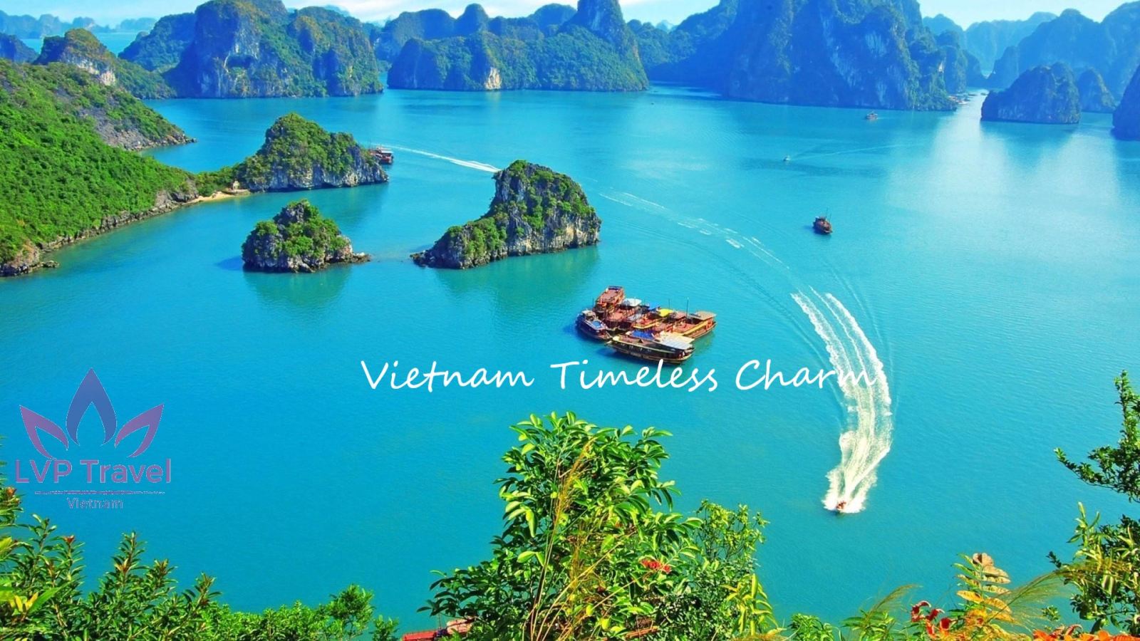 Halong Bay Cruise