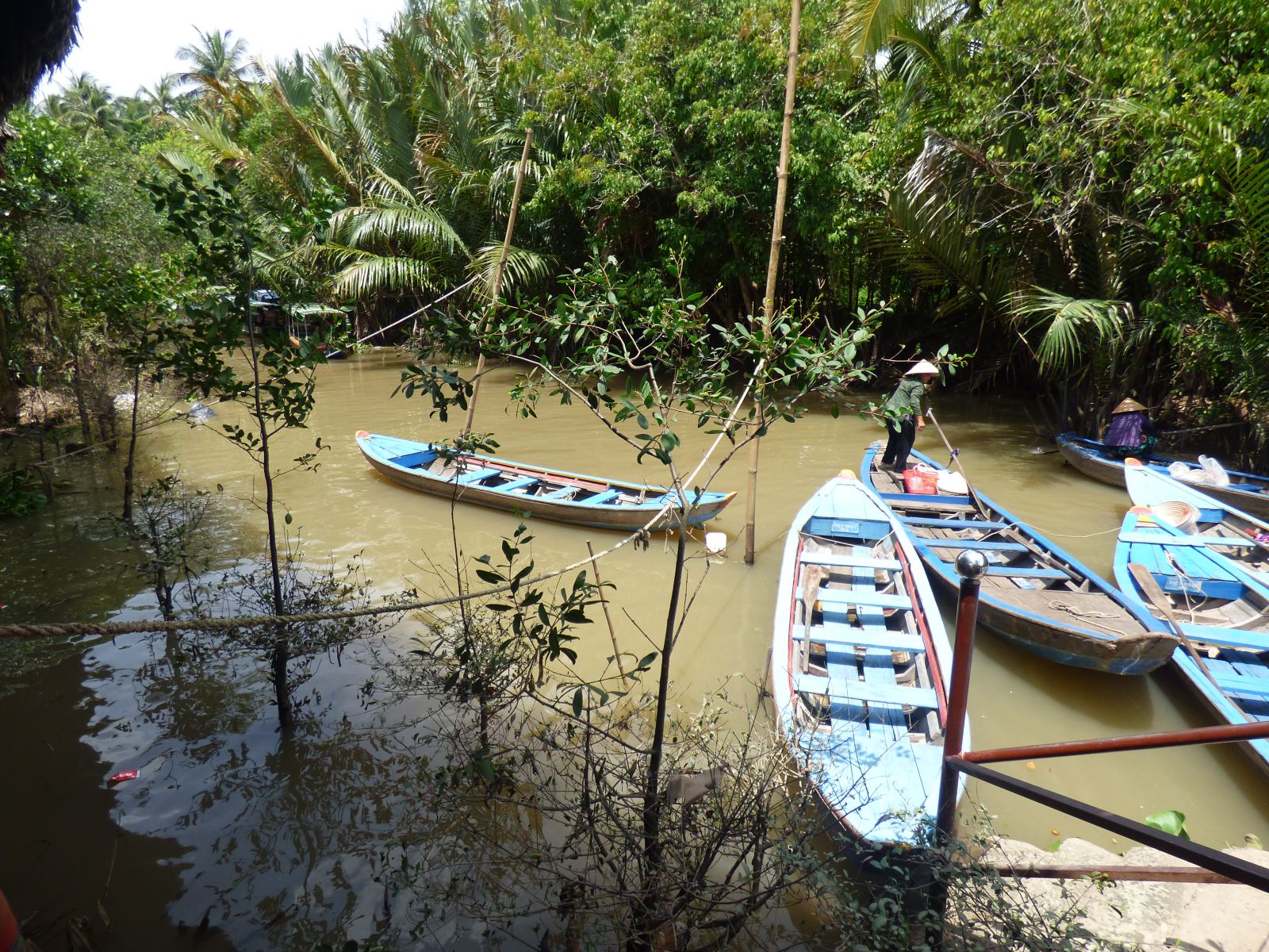Mekong Delta 