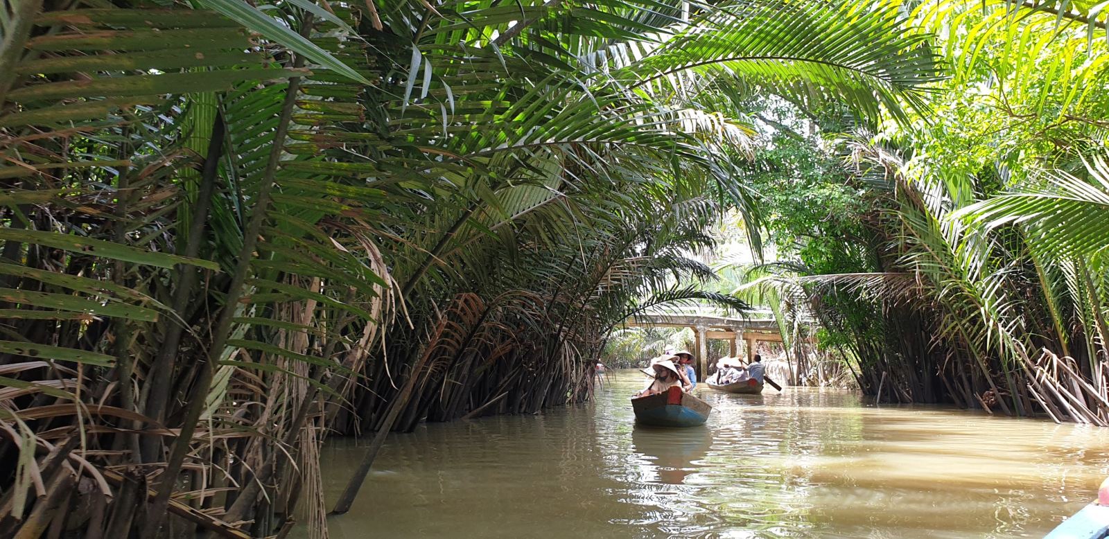 Mekong Delta